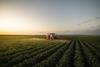fertiliser sprayed on crops by tractor - getty