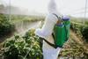 pesticide crop farming farm