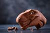 Chocosaurus Rex Phase 10 JL