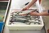 mackerel in a box - gety
