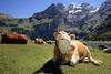 Switzerland