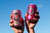 Dalstons Cherry Rhubarb Blue sky dalstons.cm