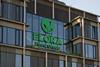 flora food group hq