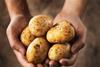 Potatoes