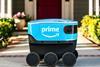 Amazon Scout