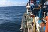 North Sea scampi fishing may carry a hidden climate cost