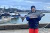 Salmon alaska