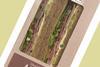 Food-to-go next in Morrisons own-label overhaul
