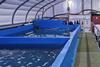 King prawn demonstrator in Scotland. Credit Rastech