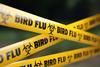 Bird Flu Quarantine Tape Barrier Before Defocused Background - stock photo