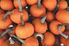 blaz-photo-aNDOKntGD0c-unsplash