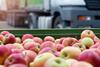 apples supply chain lorry distribution fruit fresh getty