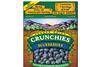 Crunchies dried blueberries