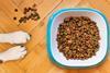 bowl of dog food