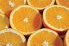 Brazil scare could ease EU orange juice prices