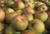 Sainsbury's claims crown for British apples