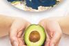world avocado association