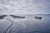 soil association salmon farm