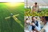 SX - Report - The Grocer - Lead image (1)