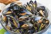 seafood mussels oysters
