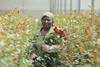 Rebecca Amoth who works on Shalimar Flower Farm in Naivasha, Kenya