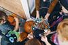 Halloween trick or treat Gettyimages