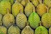 durian unsplash