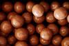Maltesers