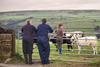 farmers farming people family