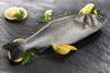Anglesey Aquaculture sea bass