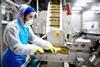 factory worker staff production
