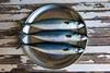 Close up of plate of mackerels - stock photo