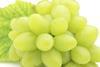 Asda aims for UK first with seedless grapes