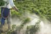pesticide organic