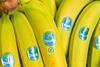 asda rainforest alliance bananas