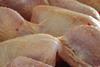 raw chicken thighs, food-borne diseases