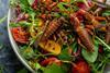 2054-bug-salad