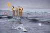 Salmon farmers on pontoon of Scottish salmon farm over sea loch