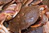 Cromer crab won't get Euro name protection