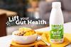 Biotiful Gut Health