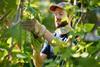young farmer