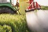 Tractor spraying wheat crops