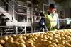 Walkers potato production line for PepsiCo
