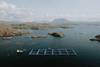 LOCH-DUART-PHOTOS-V1-1283