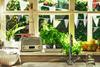 Kitchen window radio herbs