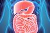 digestive system gut health