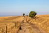 Drought Sussex heatwave farm climate field parched hot weather GettyImages-1000918954