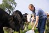 Lidl_Supplier_Beef