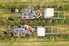 FSP_Apple_Harvest_014
