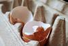 egg shell pixabay
